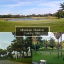 크리스탈 골프클럽 이미지