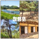 영월청령포 | 영월 가족여행 청령포 단종유배지 아이와 함께 방문후기, 산책코스