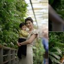 포시즌 PC 이미지