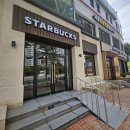 스타벅스_사거리3 이미지