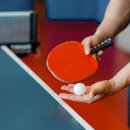 THE STAY 여기 이미지