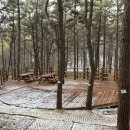 숲속쉼터옆 이미지