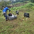 무주장의사 이미지