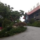 도청대로(서) 이미지