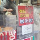 레드고구마붕어빵 | 서울 고구마 붕어빵 | 신림역 레드 고구마 붕어빵 n년째 단골 내돈내산 후기