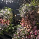 호텔루체 | 광주광역시 결혼식장 견적 보증 인원 대관료/홀리데이 인 호텔 계약 후기(+드메르/위더스/까사디루체 등)