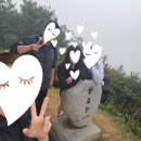 무주농장 | [무주]향로산 자연휴양림 B5 추석캠핑 한글날캠핑 with 무주태권도원, 와인동굴, 반디랜드, 별빛공방