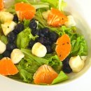 일신팜 | 샐러드 채소 당일수확 친환경 무농약 유럽상추 리피