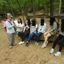 양명여자고등학교 이미지