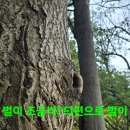 후모텔 이미지