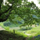 인제자연학교 캠핑장 이미지