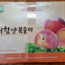 용택농장 이미지