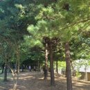 공원농산 이미지