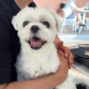 푸르댕댕 이미지