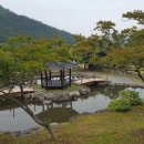 백동무궁화동산 이미지