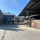 신항부동산중개 이미지