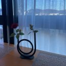 하운드호텔 정관 | 부산 기장 단체 숙소 파티룸 하운드호텔 정관 이용후기