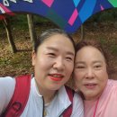 천무유통 이미지