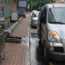 그레이스 이미지