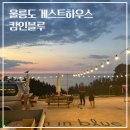 북면169 | 울릉도 프리다이빙 게스트하우스 캄인블루 숙소 내돈내산 후기 (아이다 레벨4)