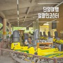 단양 여행 액티비티 만천하스카이워크 알파인코스터 후기(할인, 가격)