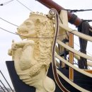 심장박물관 이미지