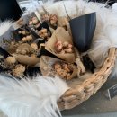 썸레스트 이미지