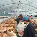 거제시장애인부모회 이미지