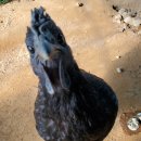 고은유치원 앞 이미지