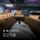 공업탑피부관리 | 울산피부관리 효소지음 남구 공업탑 효소찜질 독소 배출 후기 추천