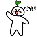 H-모터스 이미지