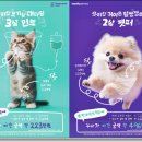 나우 동물병원 이미지