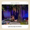 화홍산수 | 남원 피오리움 아이와 가볼만한곳 몰입형 미디어아트 전시 후기 50% 할인받는 꿀팁