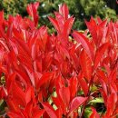 오늘도 무사히 콘서트4 이미지