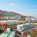 용인대학교 박물관 네이버블로그