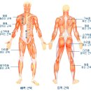 클라이밍에 필요한 웨이트 트레이닝의 종류 이미지