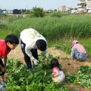 삼남매농장 이미지