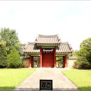 배롱나무길 이미지