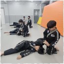 합기도 | 성인합기도 우리 아이의 성장을 함께하는 용인대 화랑 합기도 후기