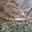 청녹산업 이미지