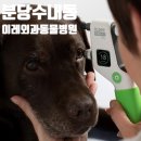 이레동물병원 이미지