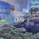 캔디멍 | [남양주] 아기랑 카페 아쿠아리움 카페 '블루문'