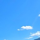 희망드림 행정사사무소 이미지