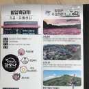 지리산 흑돼지 | 지리산마천농협 흑돈 지리산 흑돼지 목살 구이용 후기