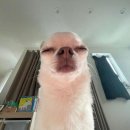 구암동245 | [대전] 피부관리 1회로도 효과 볼 수 있을까? 찐으로 효과본 사람의 이유 에스테틱 솔직후기