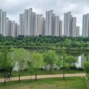 전주이씨 상원군 이세령가문 충신열녀정려편액 이미지