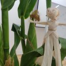 도시농업관리사반 이미지