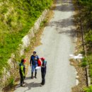 단양국유림관리소 이미지