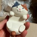 고양이 수염 | 샤이니폴 고양이수염보관함 원목각인 내돈내산 후기