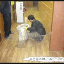 마루독서실 네이버블로그